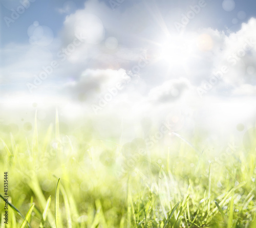 Fototapeta Naklejka Na Ścianę i Meble -  Grass and sky spring background