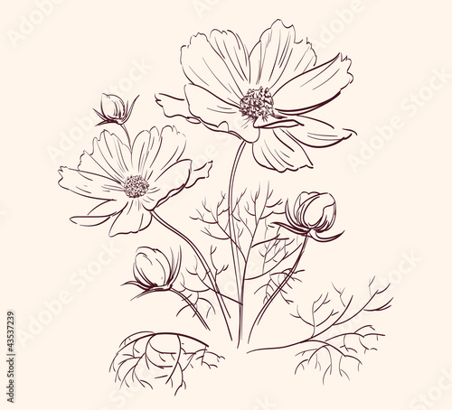 Fototapeta Naklejka Na Ścianę i Meble -  Beautiful Flowers Border  vector illustration
