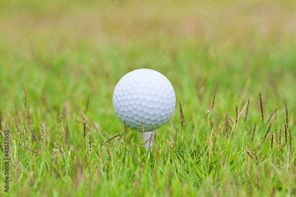 Golf ball on tee over a blurred green Golf ball on tee over a blurred green