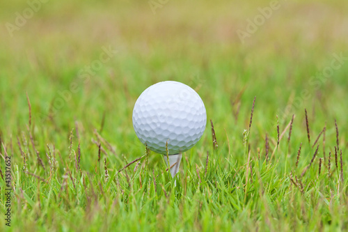 Golf ball on tee over a blurred green