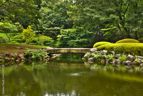 Japanese garden wood bridge
