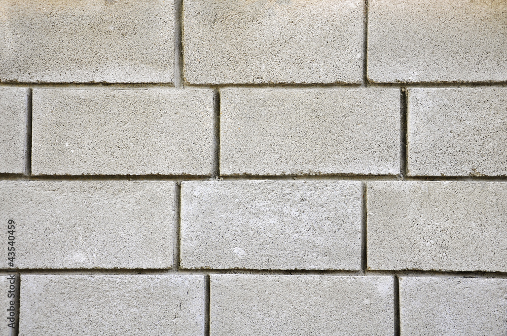 Fototapeta premium bricks texture