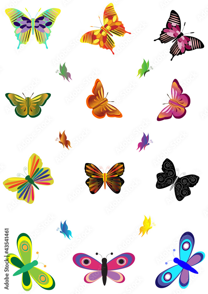 butterflies butterflies