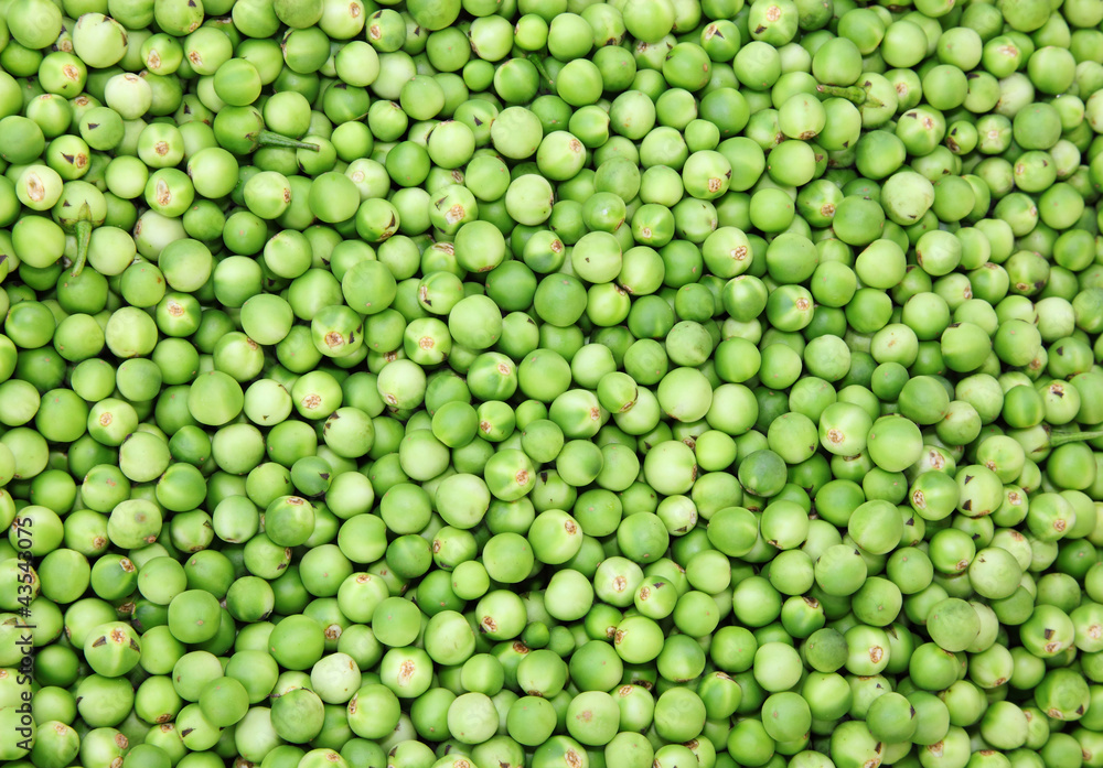 The plenty of Pea Eggplants in Thailand market The plenty of Pea Eggplants in Thailand market