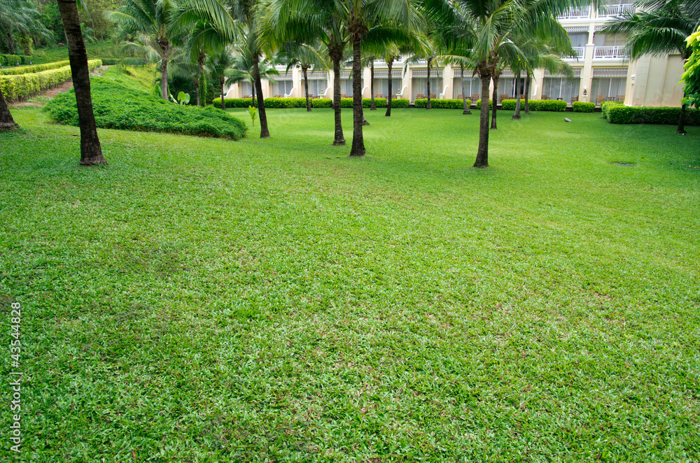Obraz premium Garden