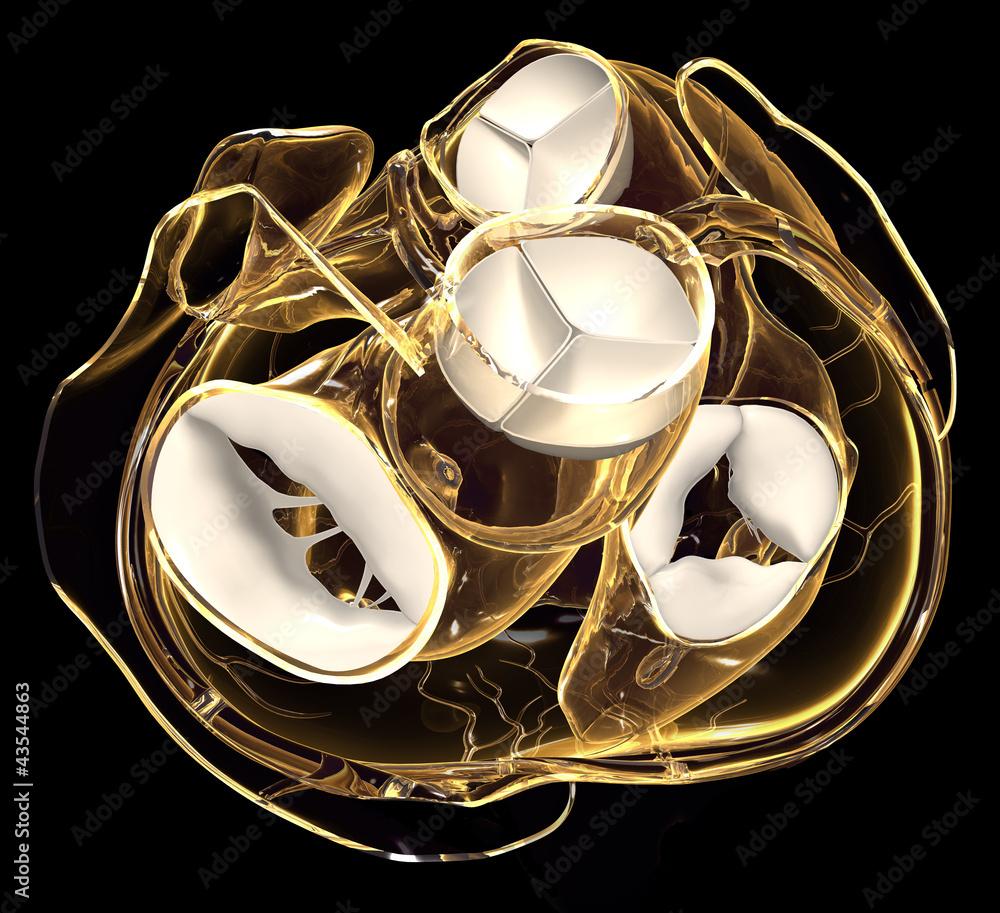 Systole des Herzens Klappenebene StockIllustration Adobe Stock