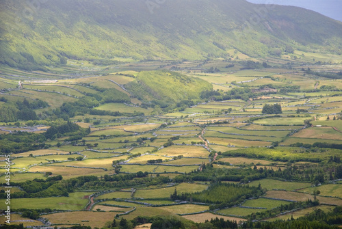 Green meadows at Faial island, Azores, Portugal