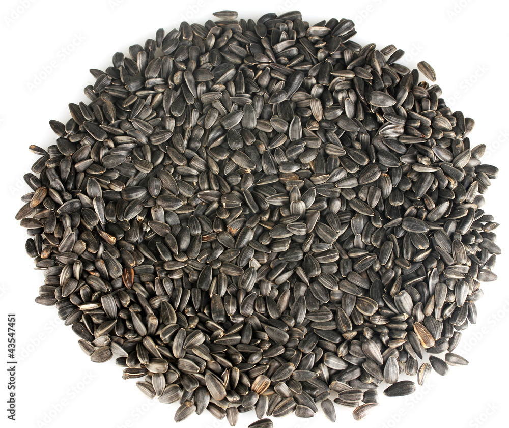 sunflower seeds on white background close-up sunflower seeds on white background close-up