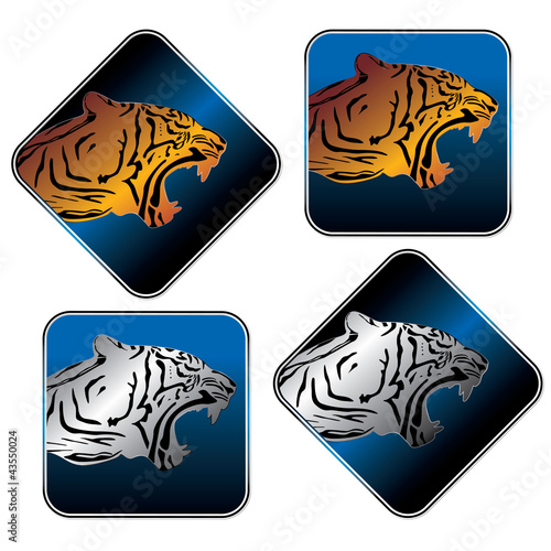 tiger icon set