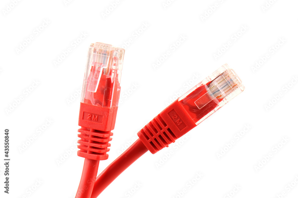 Red network cables, close up Red network cables, close up