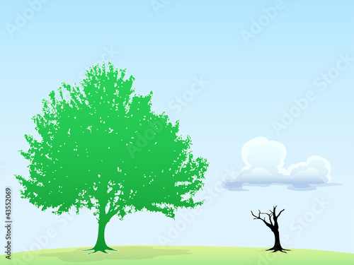 green tree ans dry tree