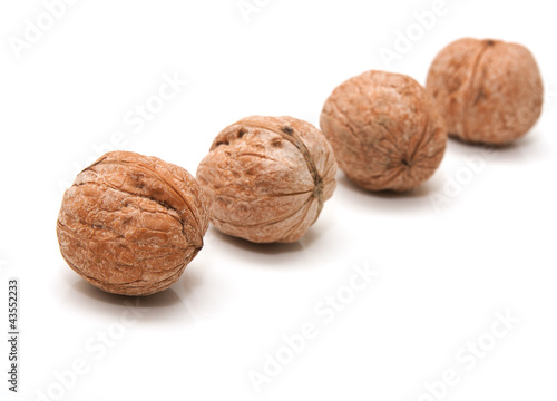 Walnut on a white background