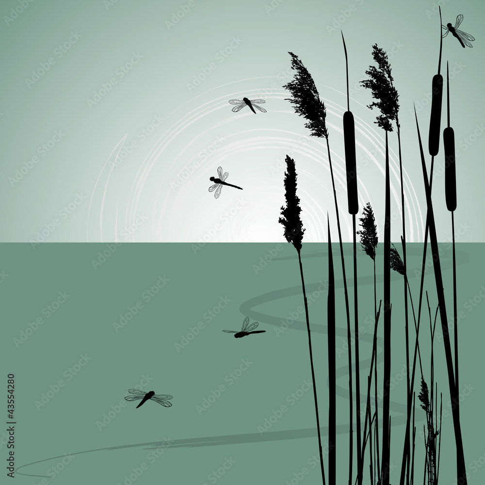 Reeds in the water and  few dragonflies  - vector - obrazy, fototapety, plakaty 