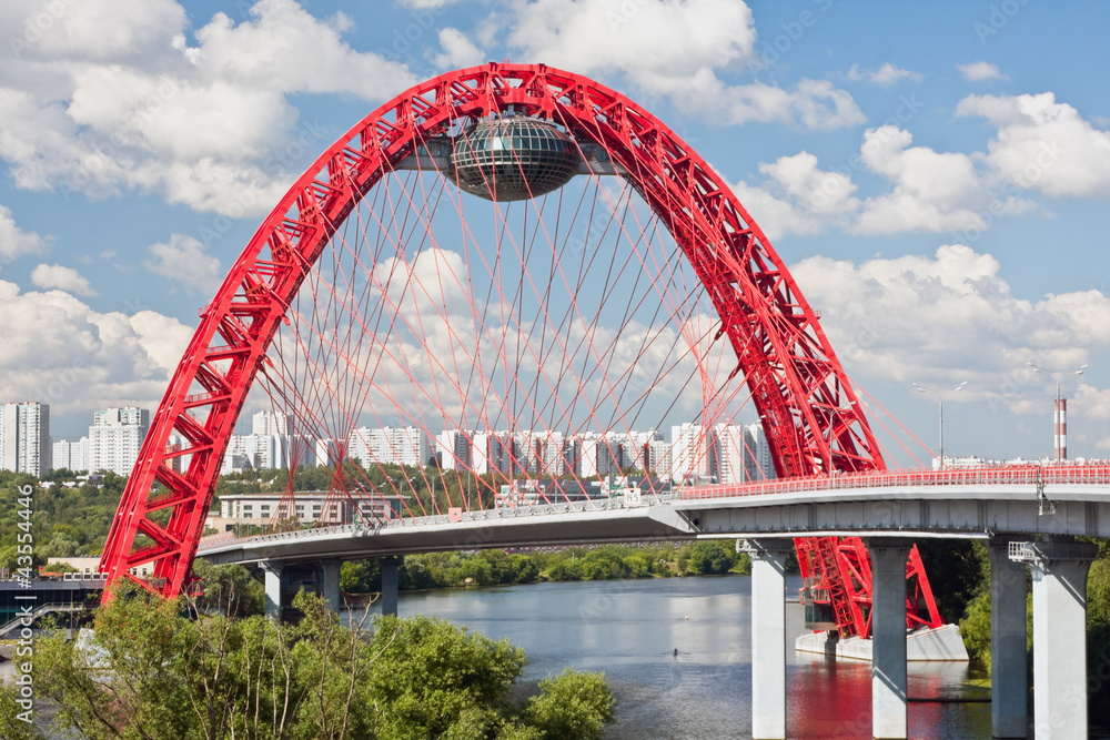 Fototapeta premium suspension cable-stayed bridge