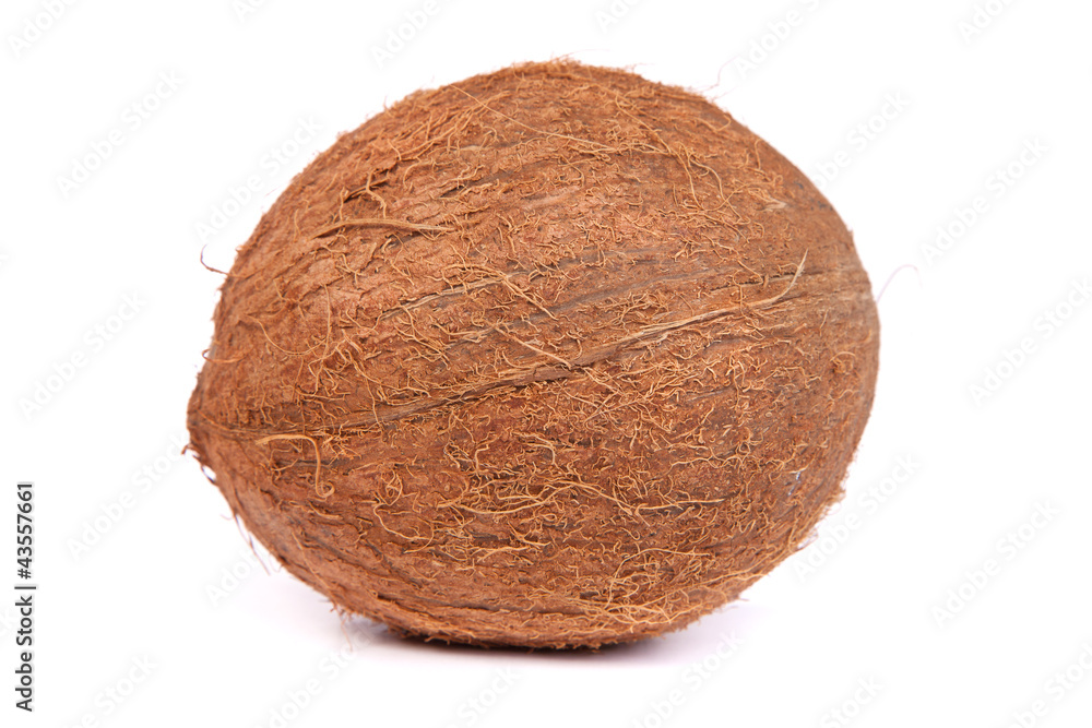 Coconut on a white background Coconut on a white background