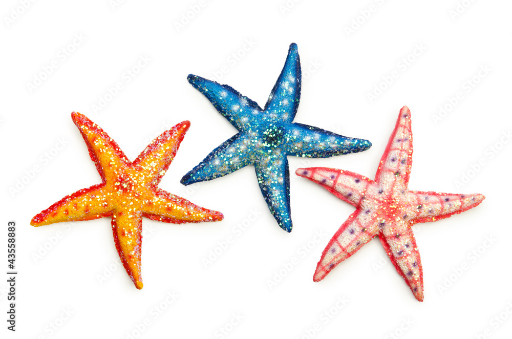 Sea stars isolated on the white Sea stars isolated on the white