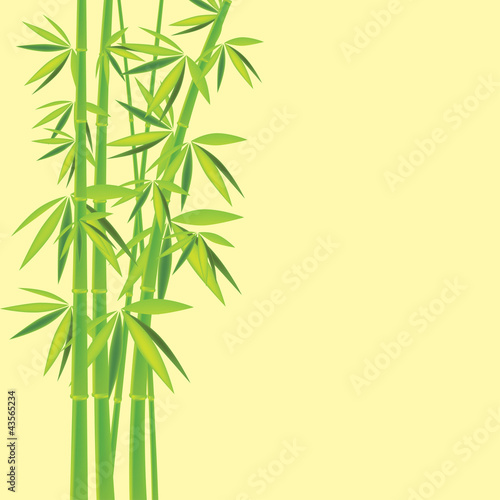 Bamboo chinese drawing printing for you design