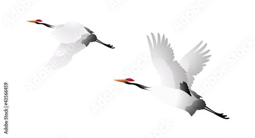 vector icon birds