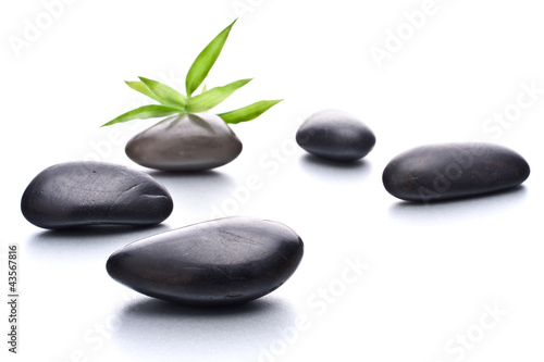 Zen pebbles. Stone spa and healthcare concept.