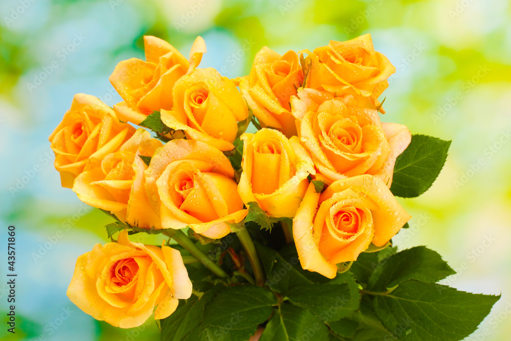 beautiful bouquet of roses on green background beautiful bouquet of roses on green background