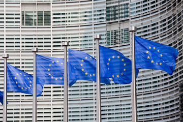 European flags in Brussels