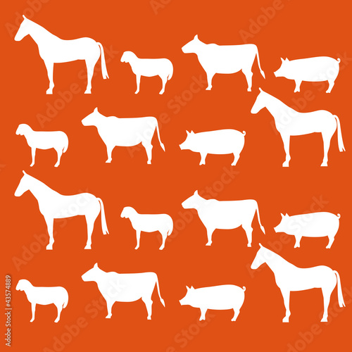 carne