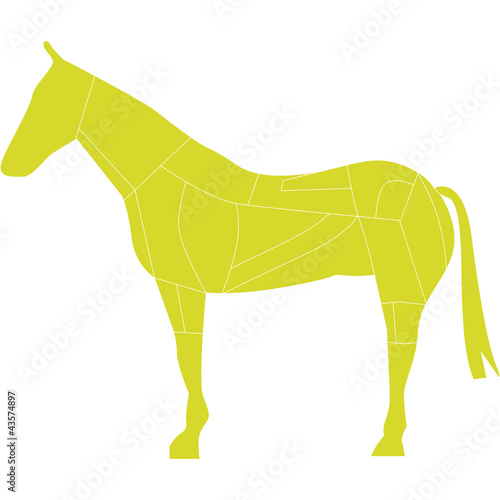 carne di cavallo