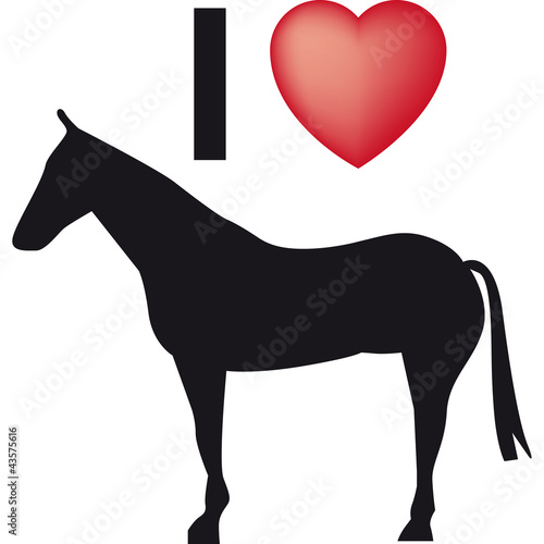 cavallo