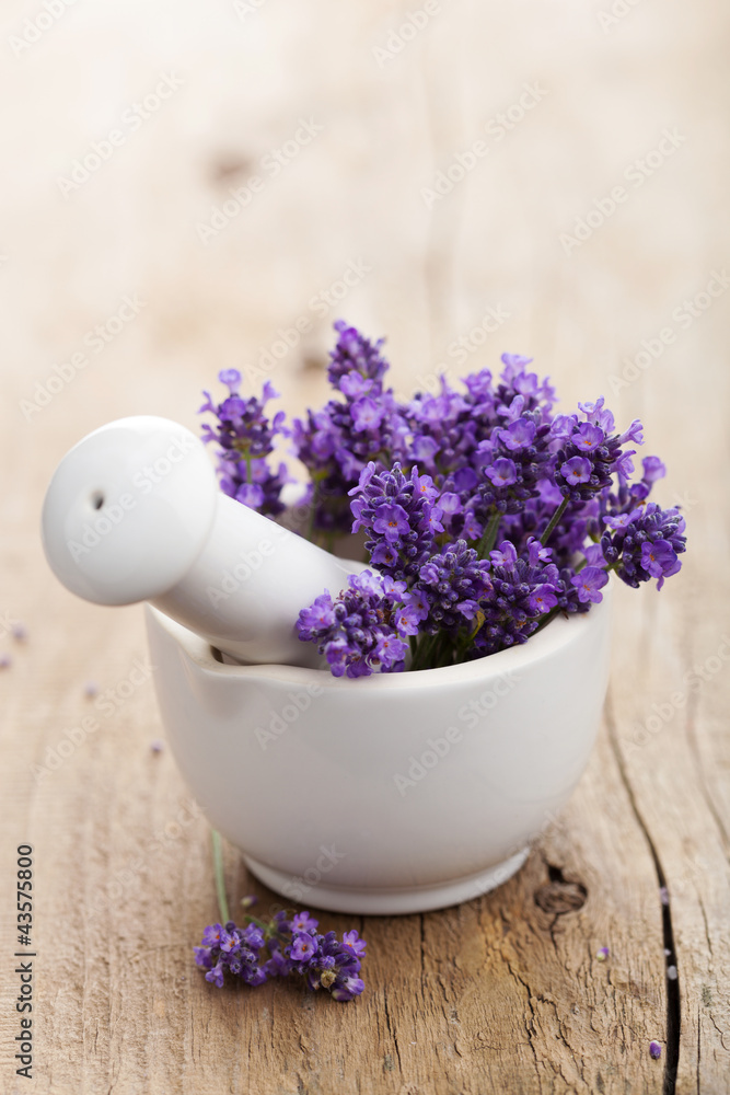 fresh lavender in mortar fresh lavender in mortar