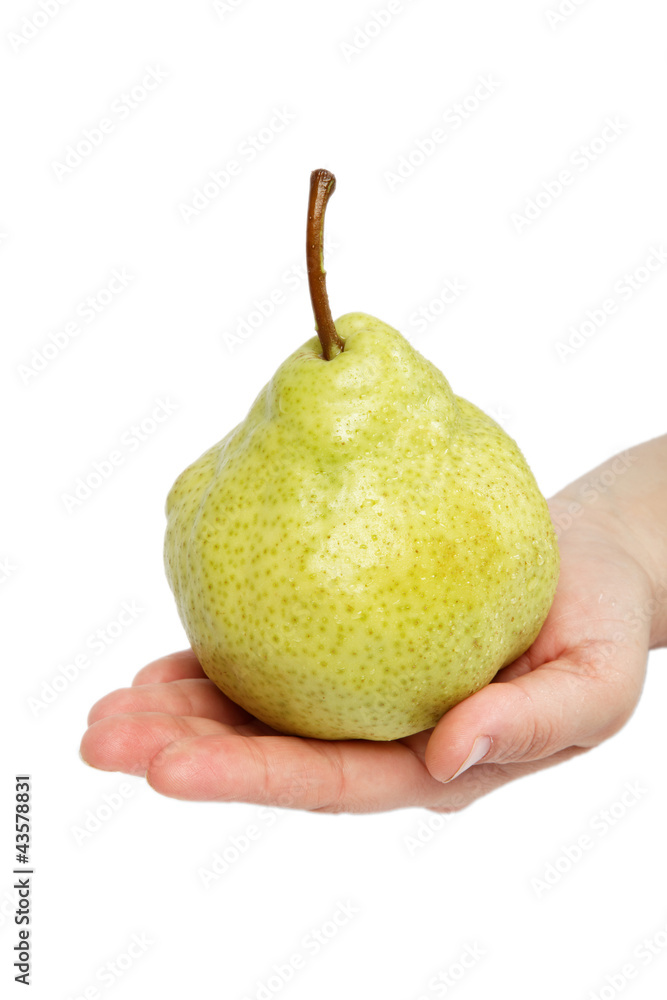 Beautiful woman's hand with a fresh pear, isolated on white. Beautiful woman's hand with a fresh pear, isolated on white.