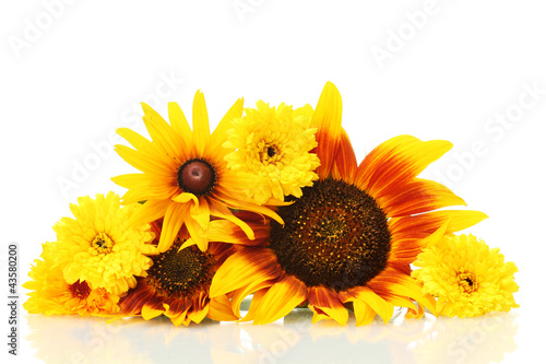 Fototapeta Naklejka Na Ścianę i Meble -  beautiful bouquet of bright wildflowers, isolated on white.