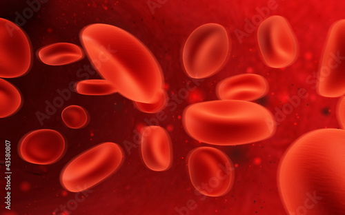blood cells in motion