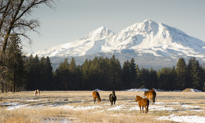 Sisters Ranch