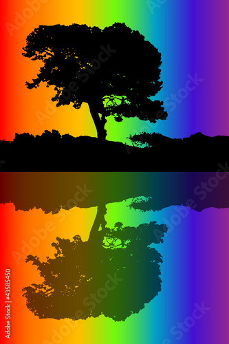 silhouette of the tree