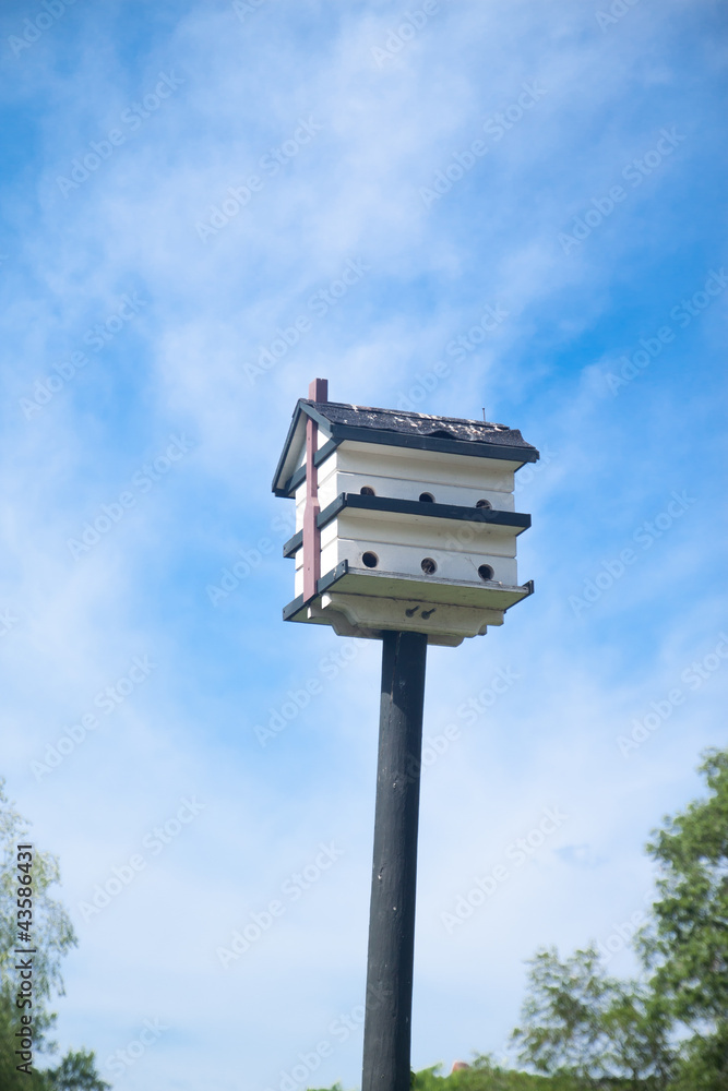 Bird house with blue sky in cloudy day