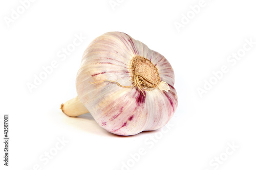 A head of garlic isolated on white