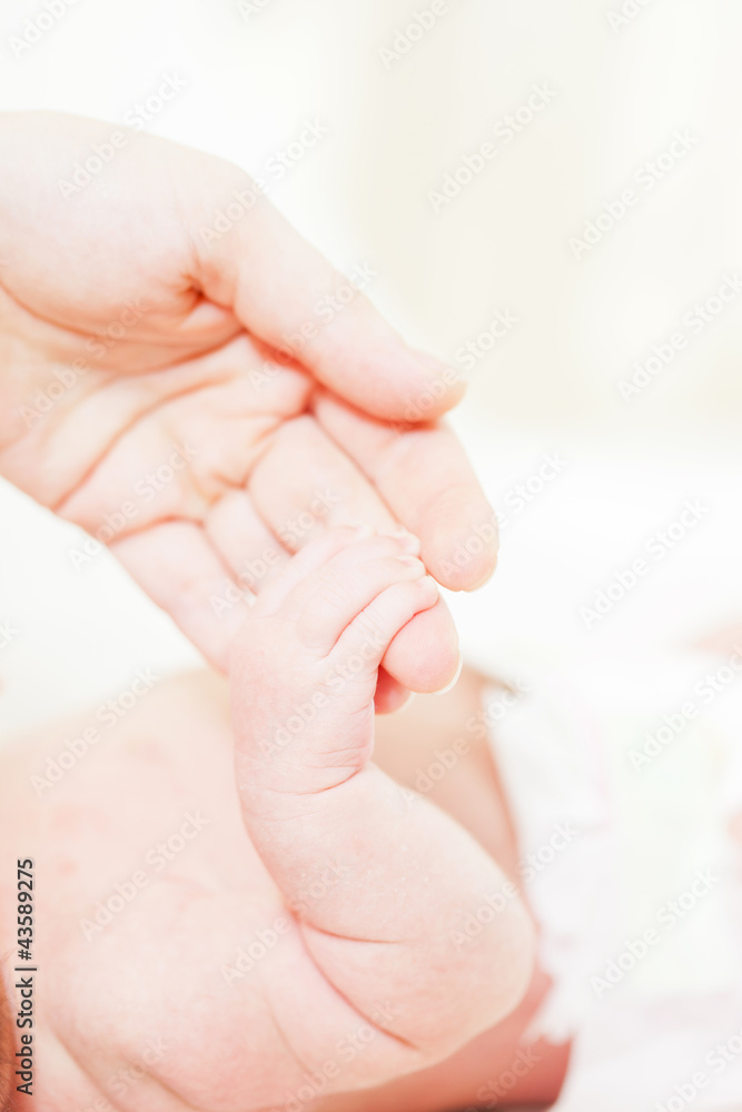 parental hand holds a palm of the baby parental hand holds a palm of the baby