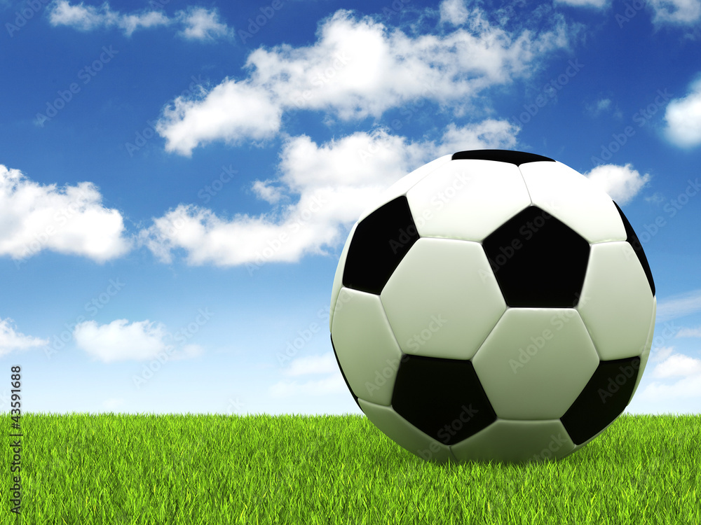 Fototapeta premium Football on green grass