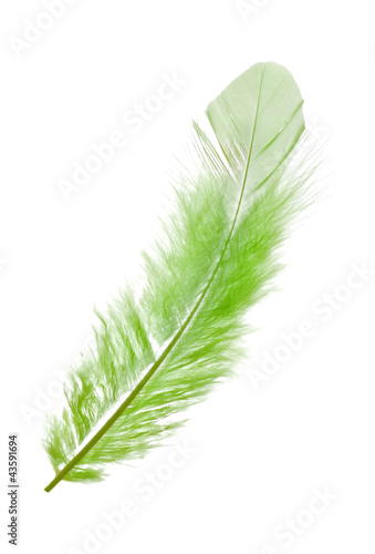 Green feather