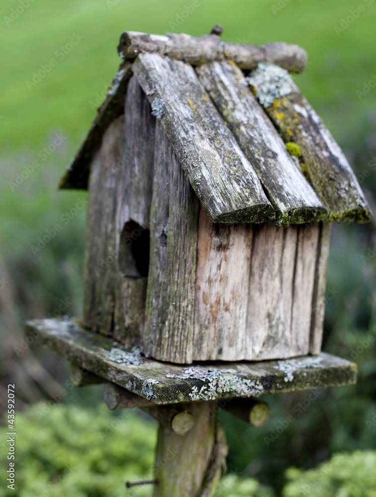 nichoir en bois pour oiseaux au jardin