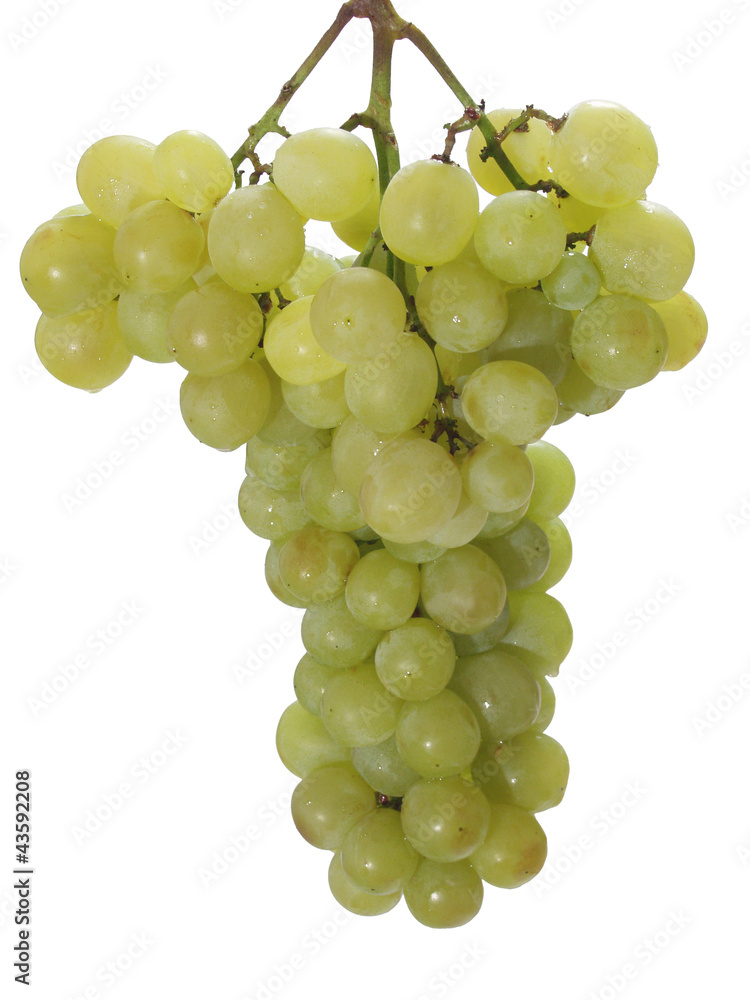 кисть винограда