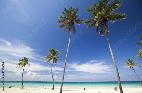 Beach in the caribbean