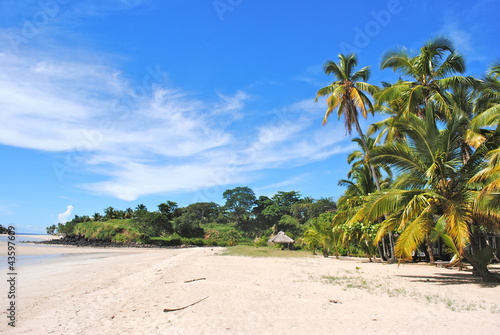 Palms on the beach - Africa - Madagascar - Andilana