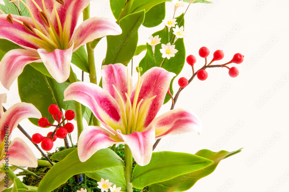 Fototapeta premium Beautiful lily blossom
