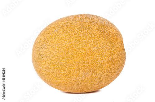 yellow melon isolated