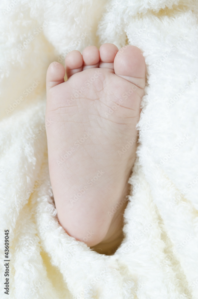 赤ちゃんのタオルにくるまれた小さい足裏 Stock Photo Adobe Stock