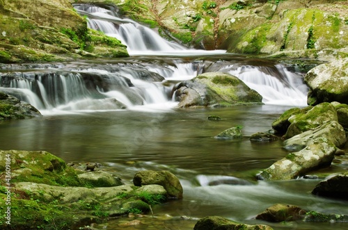 MOUNTAIN STREAM green 緑の渓流