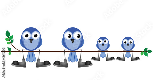 Family of birds sat on a tree branch