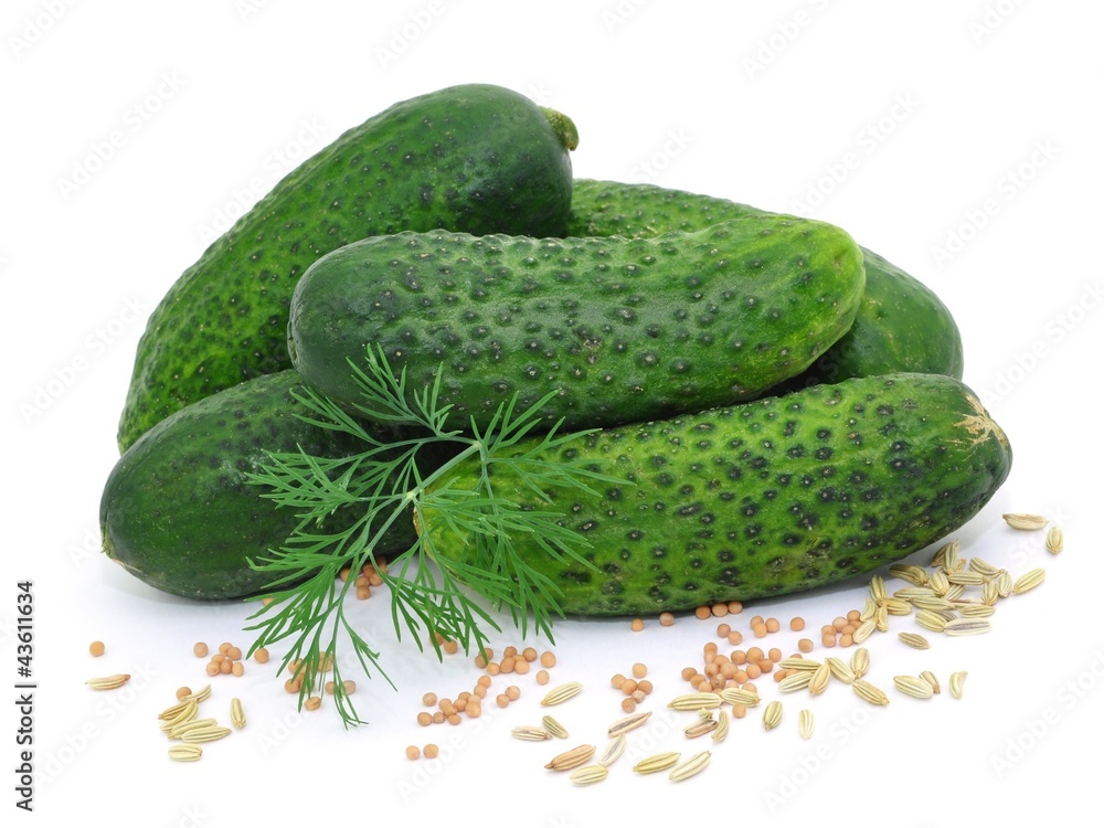Gewürzgurken Stock-Foto | Adobe Stock