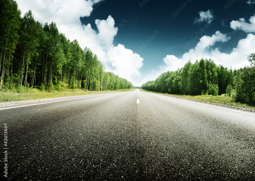 road in forest